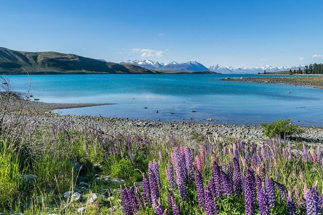 Lake Tekapo